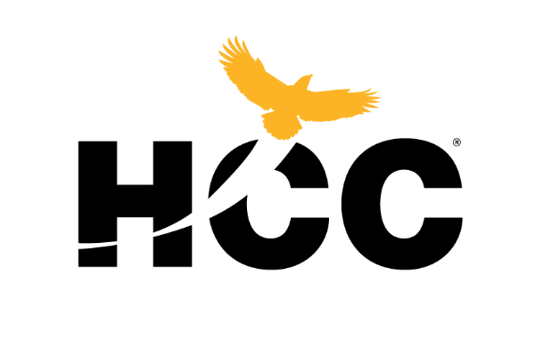 Logo 5
